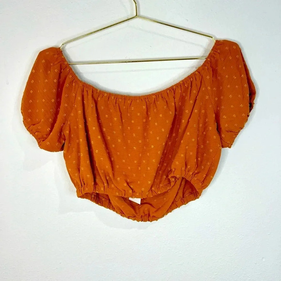 🆕 Lush Rust Colored Crop Top - Picture 5 of 9